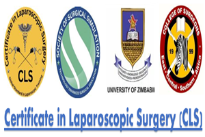 Certificate in Laparoscopic Surgery (CLS) Training