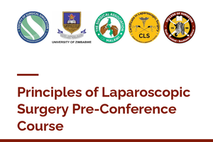 Principles of Laparoscopic Surgery Pre-Conference Course